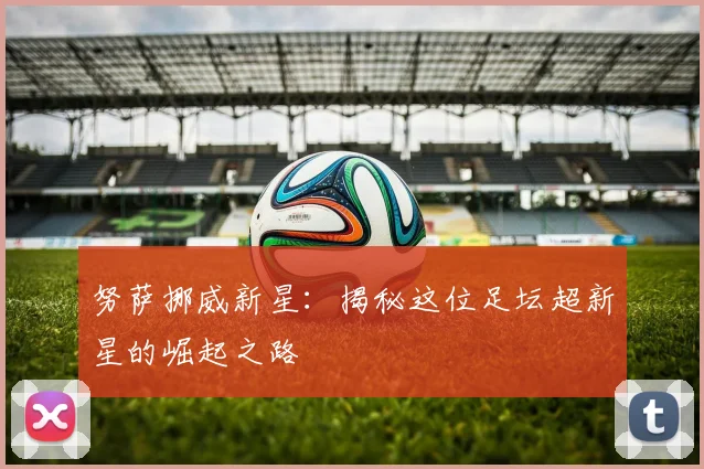 努萨挪威新星:揭秘这位足坛超新星的崛起之路